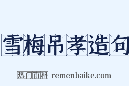 雪梅吊孝造句是什么意思的图片